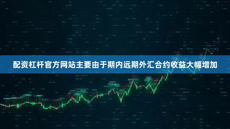 配资杠杆官方网站主要由于期内远期外汇合约收益大幅增加