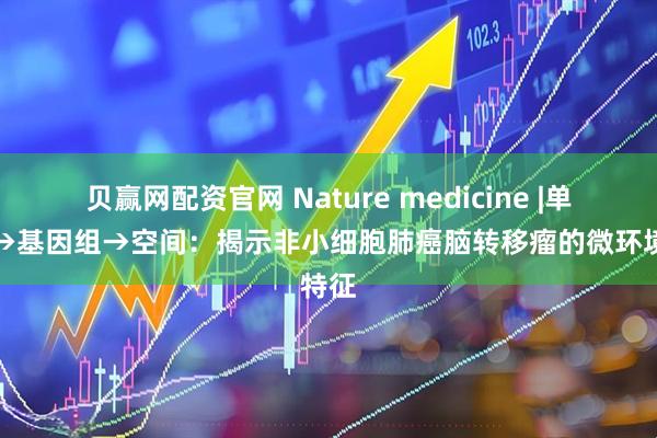 贝赢网配资官网 Nature medicine |单细胞→基因组→空间：揭示非小细胞肺癌脑转移瘤的微环境特征
