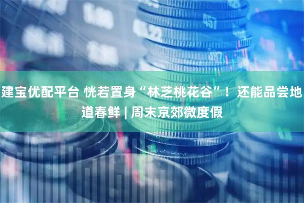 建宝优配平台 恍若置身“林芝桃花谷”！还能品尝地道春鲜 | 周末京郊微度假