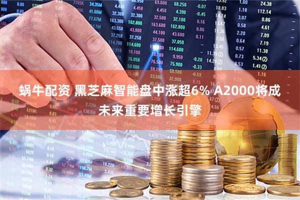蜗牛配资 黑芝麻智能盘中涨超6% A2000将成未来重要增长引擎